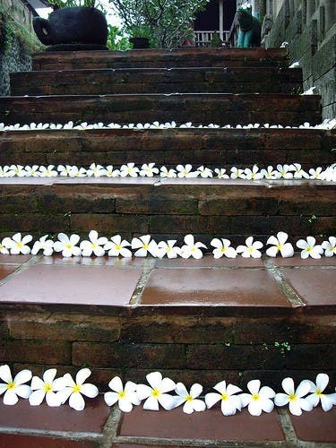 你拍攝的 Bali。