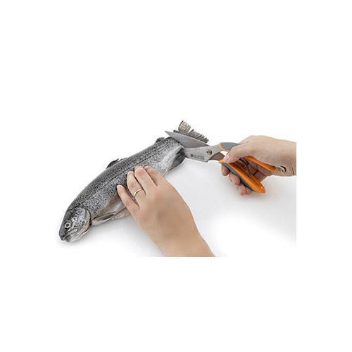 你拍攝的 NizorFishPOP。