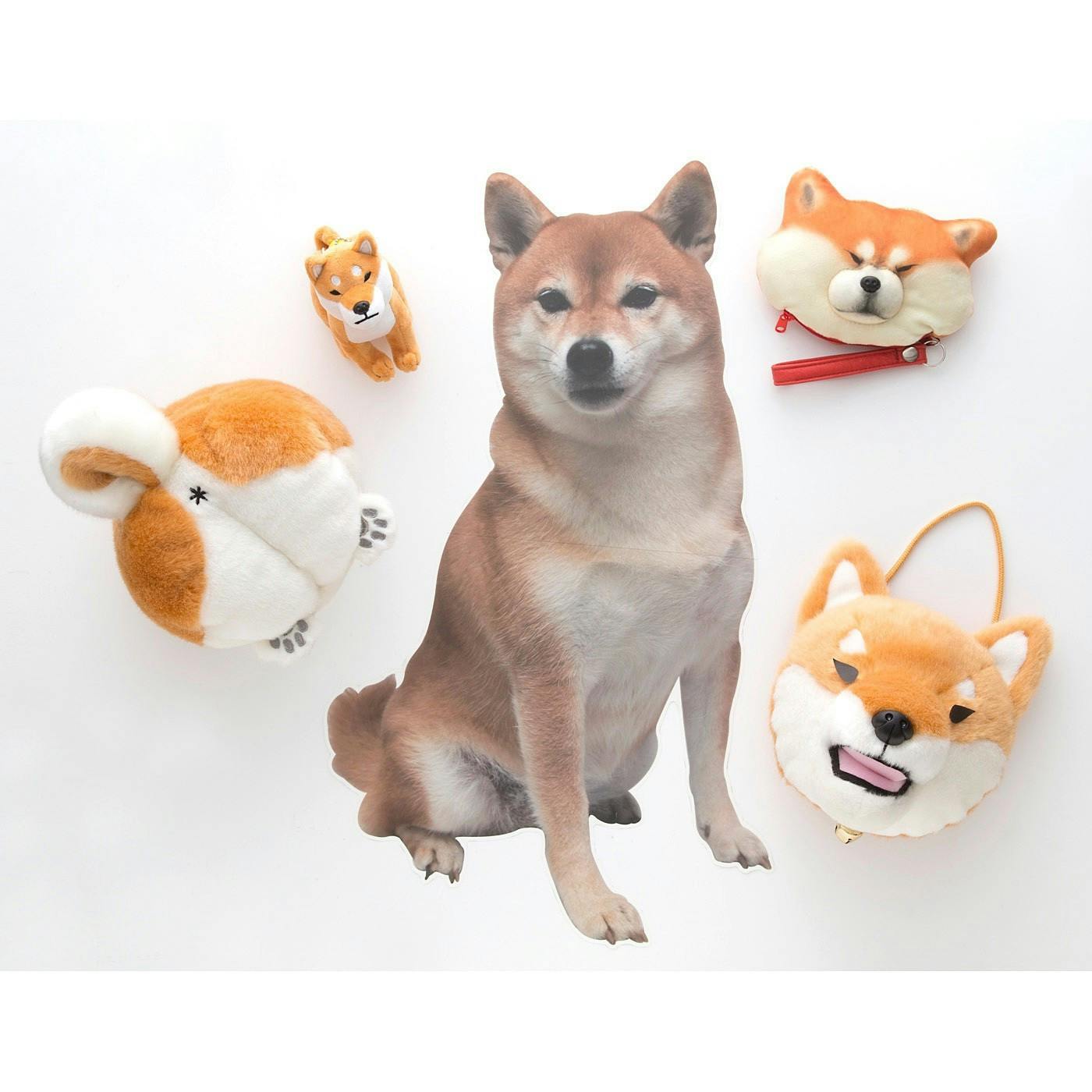 是忠犬柴柴隨身小物5連發這篇文章的首圖