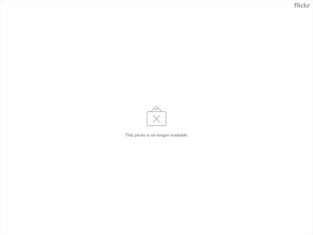 是Google大神也會出問題這篇文章的首圖