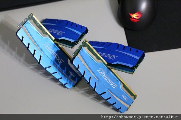 nEO_IMG_IMG_8771.jpg