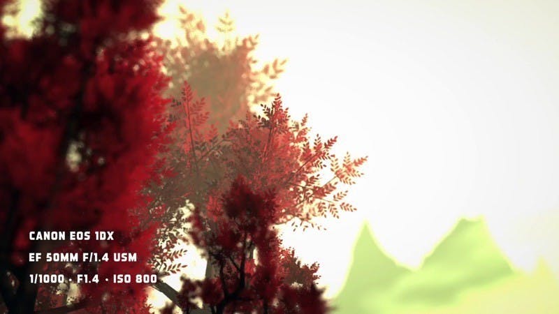 005_resize