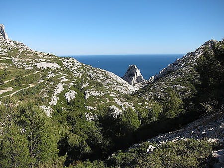 IMG_3679.JPG