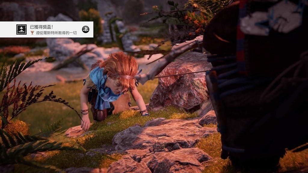 Horizon Zero Dawn™_20170410004942