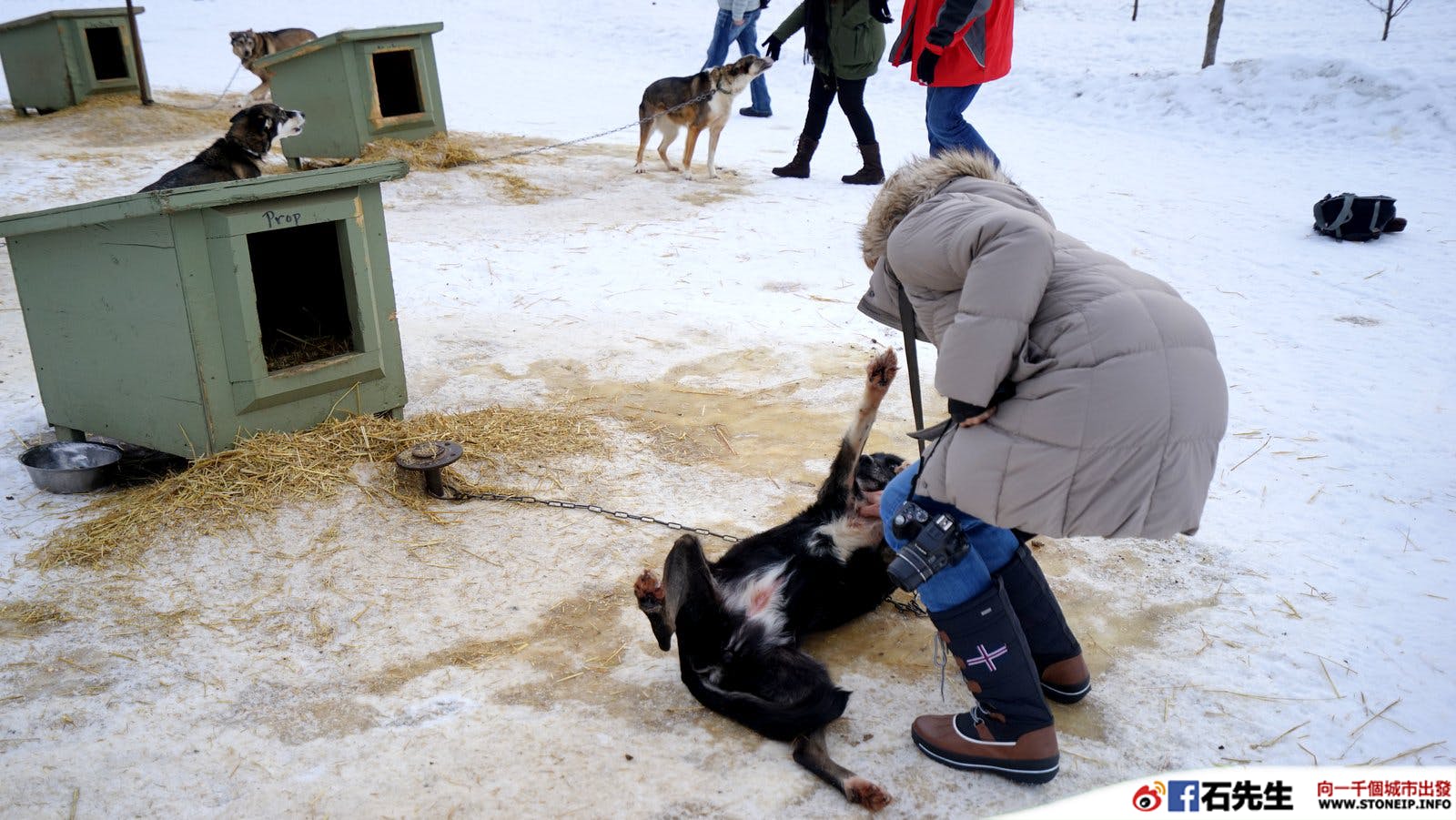 Delta_US_Alaska_Snow_Travel_20