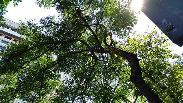P_20160729_140018