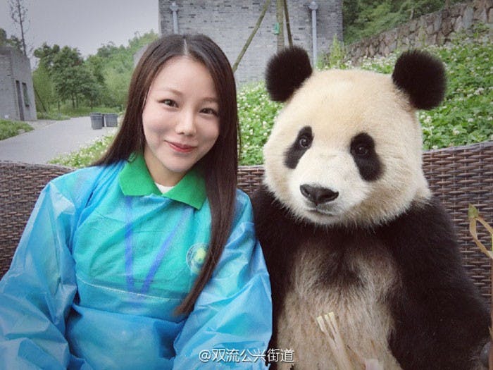 是大熊貓也懂自拍？略懂略懂這篇文章的首圖