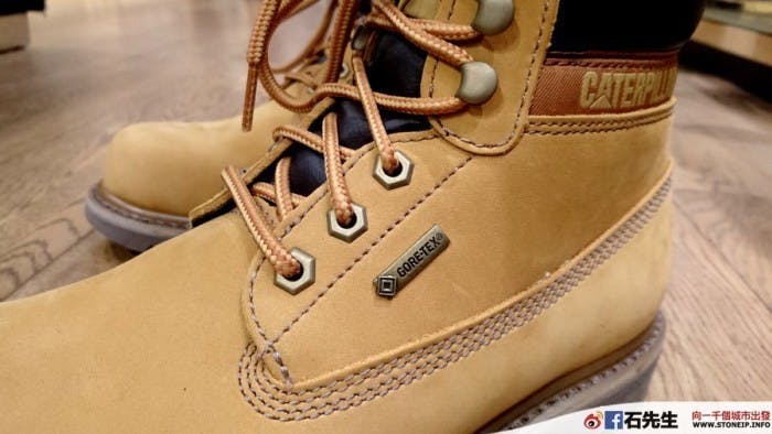 cat-shoe5