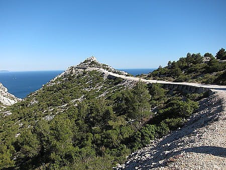IMG_3689.JPG
