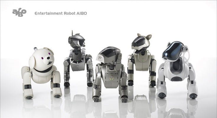 是Sony 90 年代傳奇電子寵物 AIBO 復甦有望，傳全新電子寵物將於 2018 年春天推出這篇文章的首圖