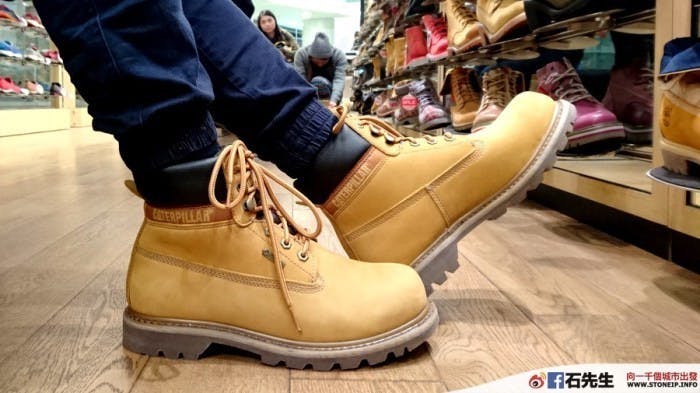 cat-shoe2