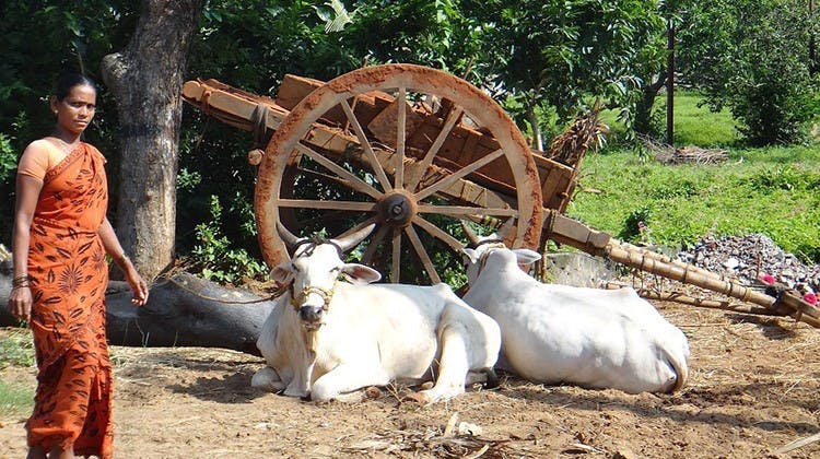 ind
