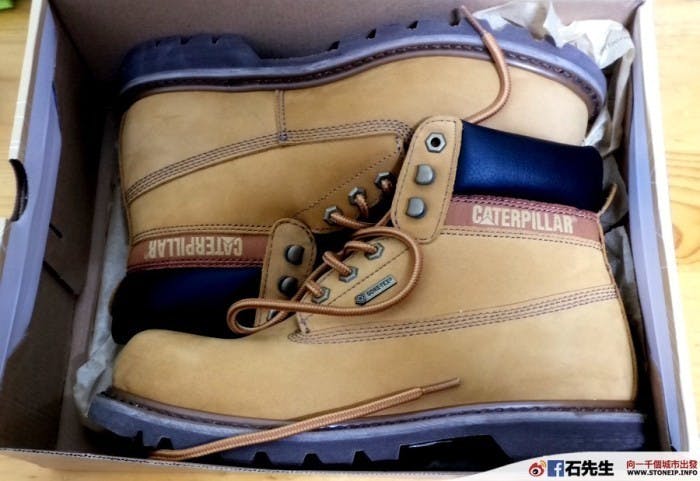 cat-shoe6