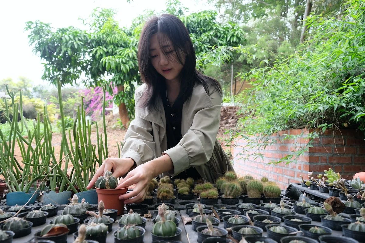 年輕時就來台灣打工換宿,當時喜歡台灣的婷婷,沒想到以後這裡會成為第二個家。 年輕時就來台灣打工換宿,當時喜歡台灣的婷婷,沒想到以後這裡會成為第二個家。