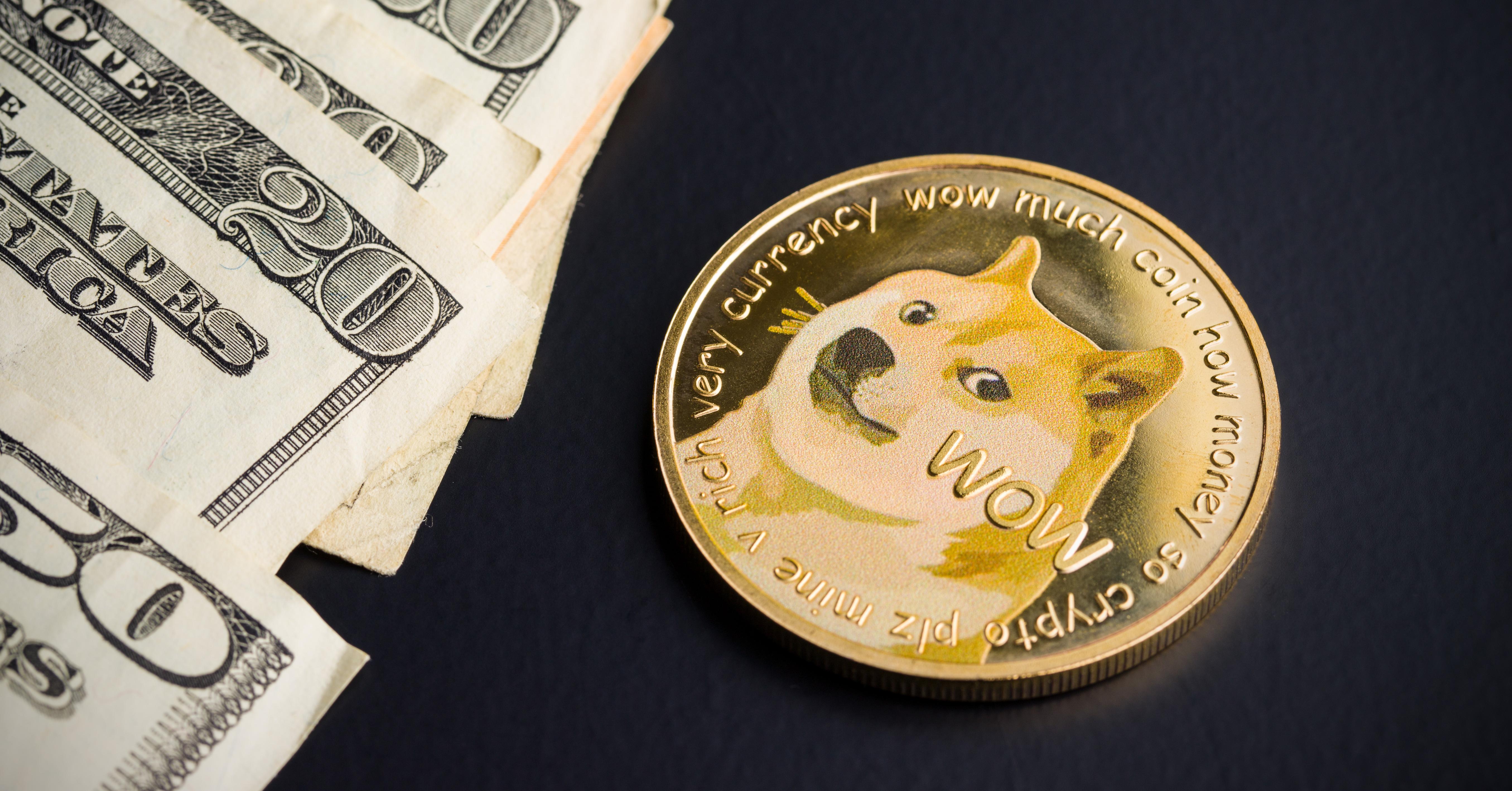 TikTok 玩家發起病毒式大炒幣運動，讓無厘頭「狗狗幣」漲了一倍- INSIDE