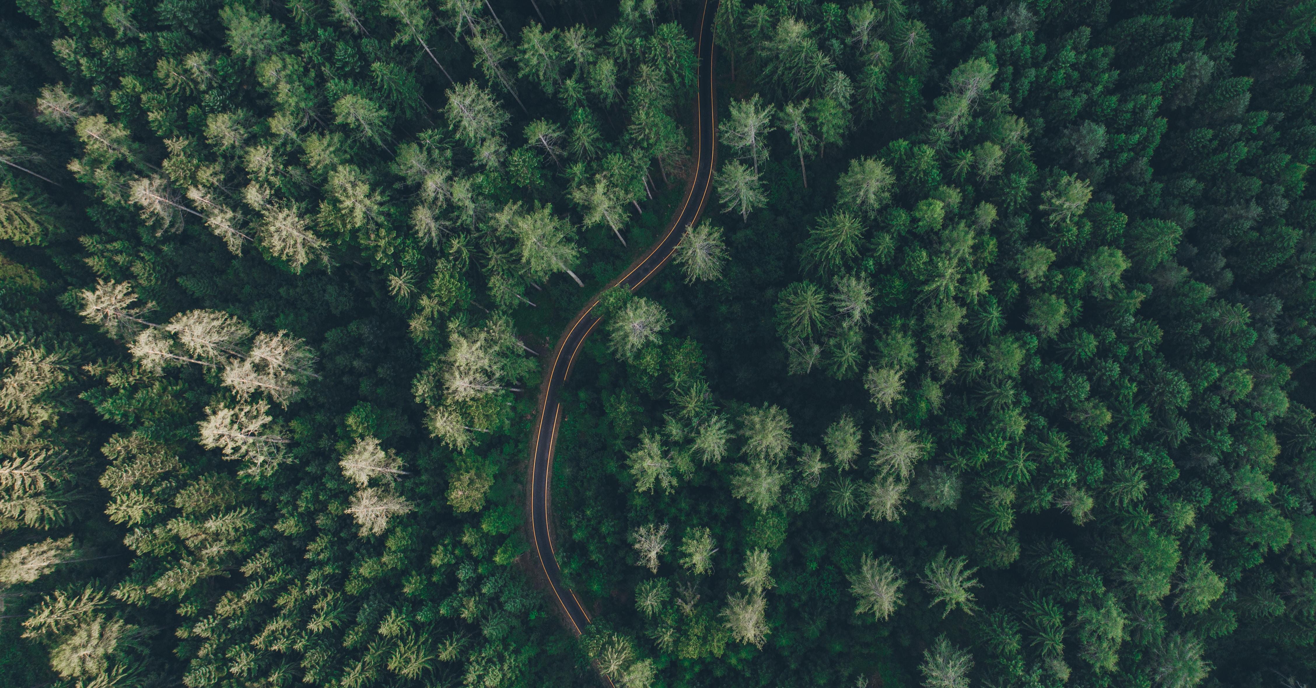 用科技保護環境！AI 可偵測亞馬遜雨林生態中非法道路的增減- INSIDE