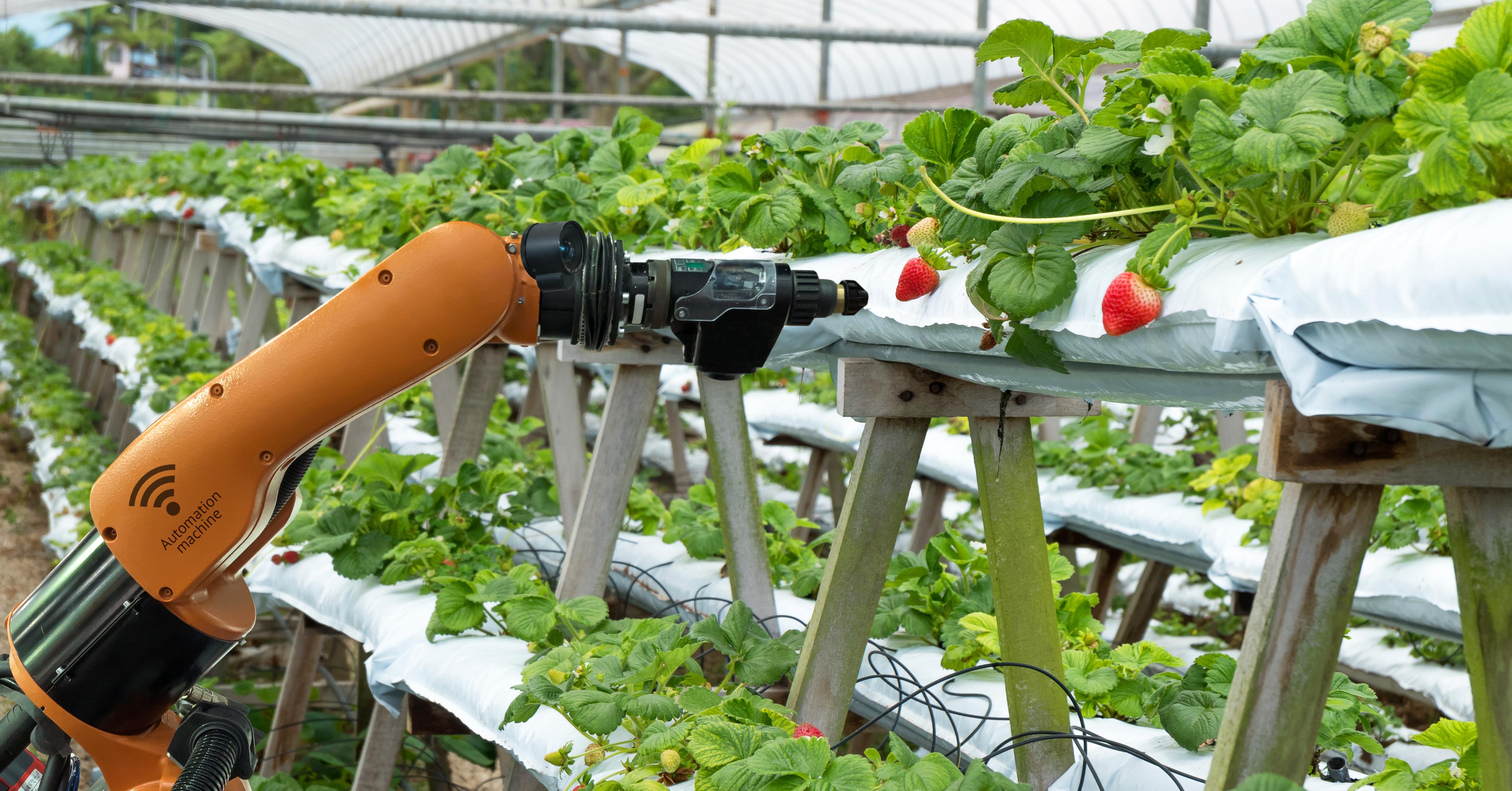 綠色觀點】從自家痛點，開發智慧農業與產銷服務平台- INSIDE