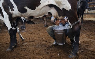 The Wider Image: Earthprints: Rio Pardo