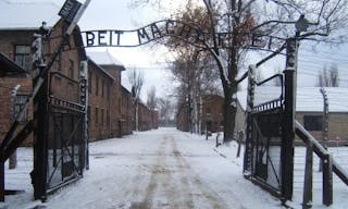 9s1tcv9h5z4f3wvynh8gy6bl2q0l46