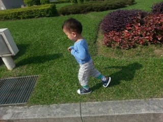 Go for it：一起參加壯年運動會吧！