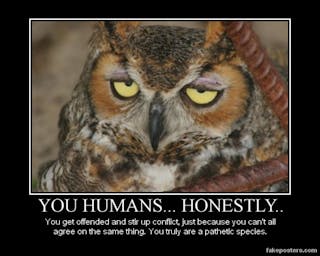 snobbish_owl_by_a_dawg13-d5iao2m