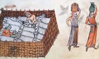 Sheep_pen_(Luttrell_Psalter)