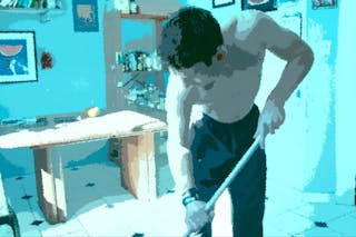 Whistle While You Mop clean house