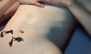 從《SM調教事件簿》、《被停業的八大—地方小姐外送茶》兩檔節目談色情 ...