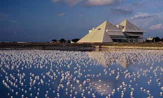 刊頭-0095=2041=1=0001=virtual001=0096