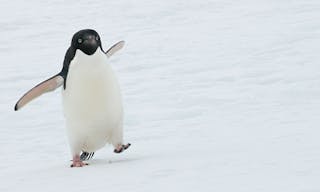 shutterstock_2181029605