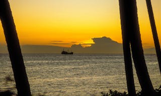 lc0l20z3tjcg8pk9p7p51jz87y2cmm