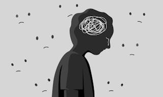 shutterstock_2293751923