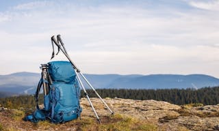 shutterstock_2461555553