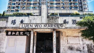 聯和市場 獨一無二 Unique Luen Wo Market