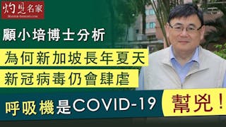 顧小培博士分析為何新加坡長年夏天新冠病毒仍肆虐？呼吸機是COVID-19幫兇！