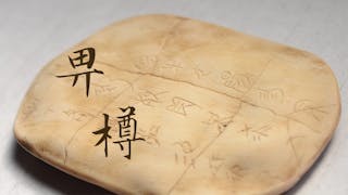 粵語古雅用字——「畀」、「樽」