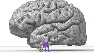 善用知識管理 促進學校發展