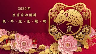 2020年生肖吉凶預測：鼠、牛、虎、兔、龍、蛇