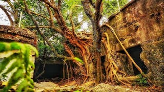 「港版小吳哥窟」廢棄魔鬼山碉堡 Hong Kong’s “Little Angkor” – Abandoned Devil’s Peak Battery