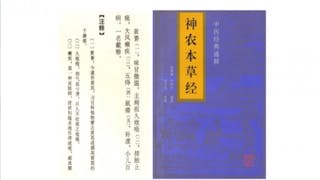 傳統中醫藥學之創世之作《神農本草經》