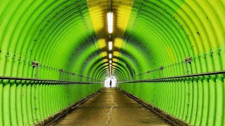 元朗綠色「時光隧道」Green “Time Tunnel” of Yuen Long