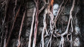 面具與樹根  Mask and Roots