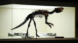 如何為STEM課程開拓空間？