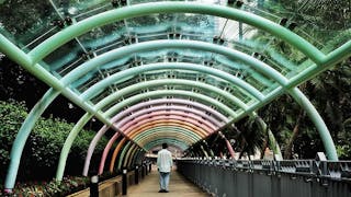 婚姻登記處的彩虹隧道 Rainbow Tunnel at Marriage Registry