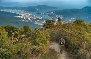 發展綠化地 應先掌握數據