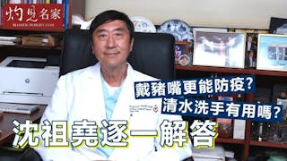 沈祖堯逐一解答：戴豬嘴更能防疫？清水洗手有用嗎？