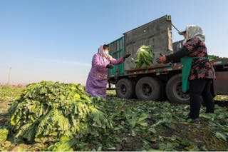 陳志武：給農民轉讓土地的自由