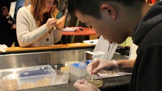 讓科研創新活動促進科學的學習