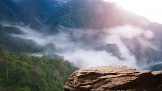 空山印深情・王維