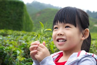 學童在暑期可做的十件事